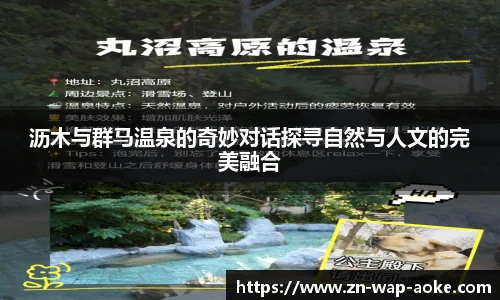 沥木与群马温泉的奇妙对话探寻自然与人文的完美融合